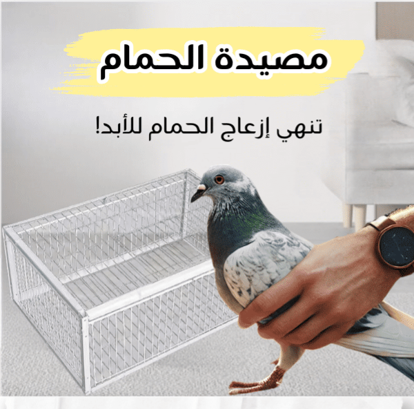 مصيده للحمام