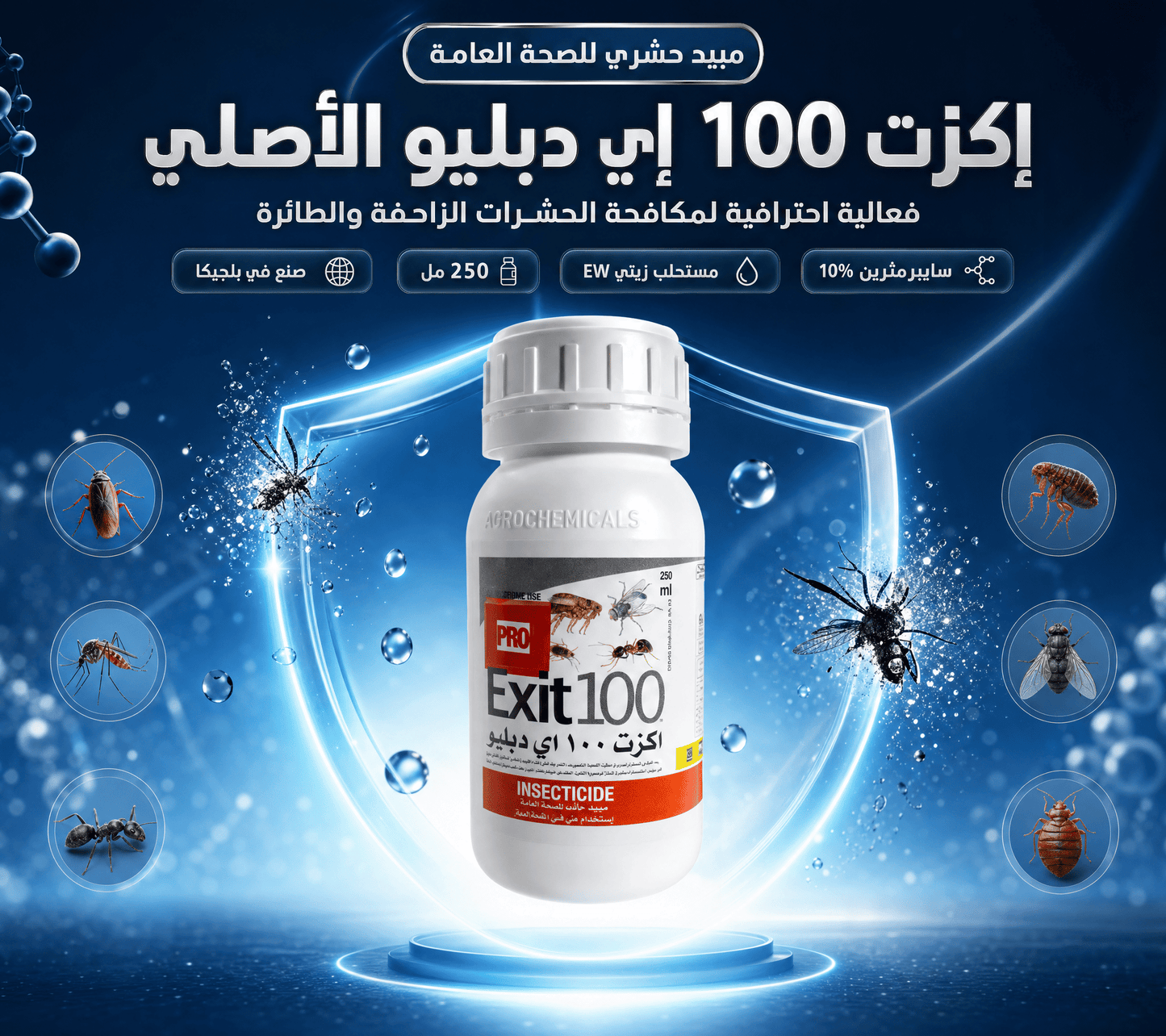 اكزت 100 إي دبليو الأصلي